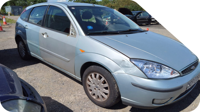 we-are-the-best-service